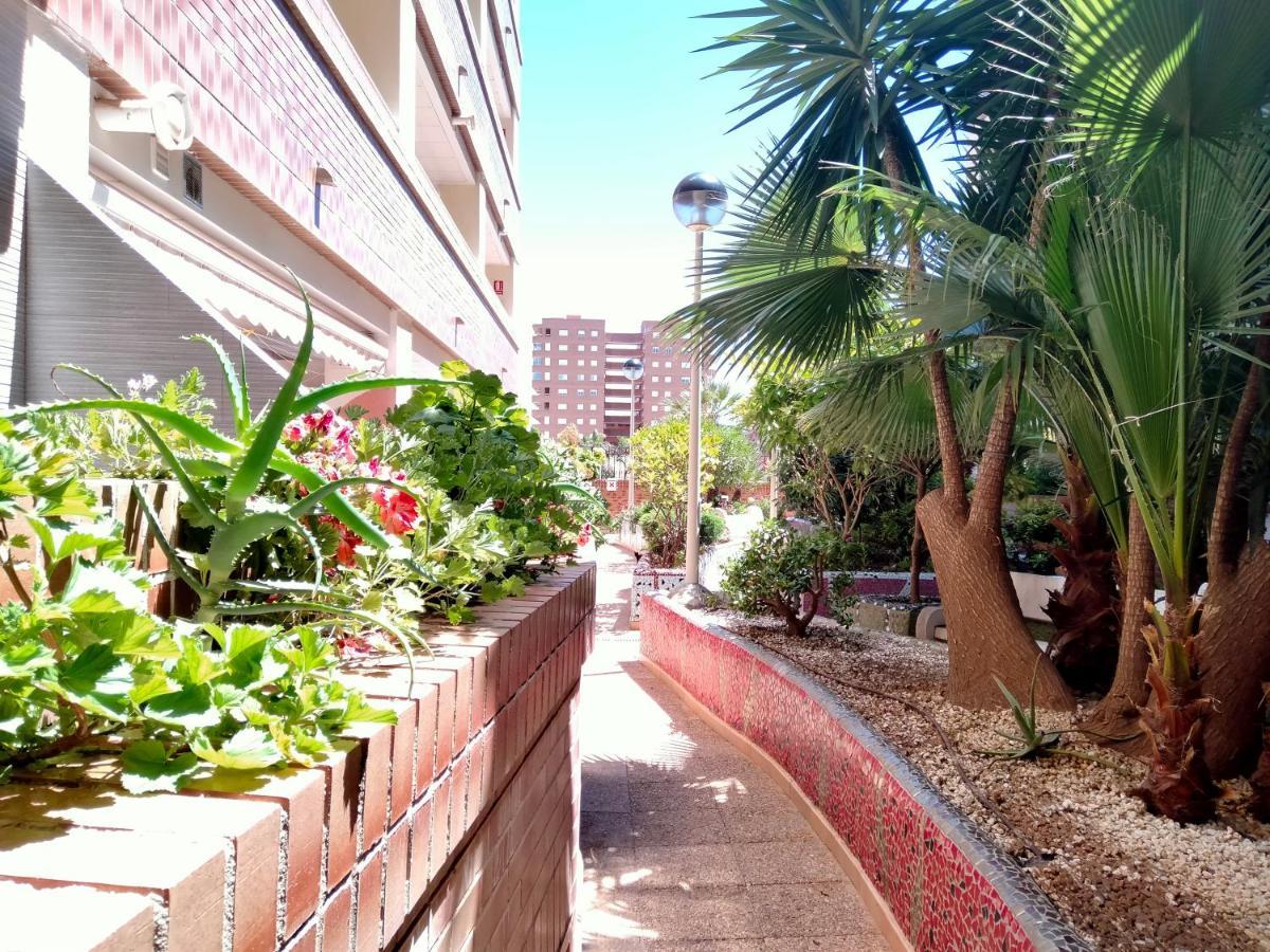 Acv - Playa Coral I-2ª Linea Planta 3 Norte Oropesa del Mar Exterior foto